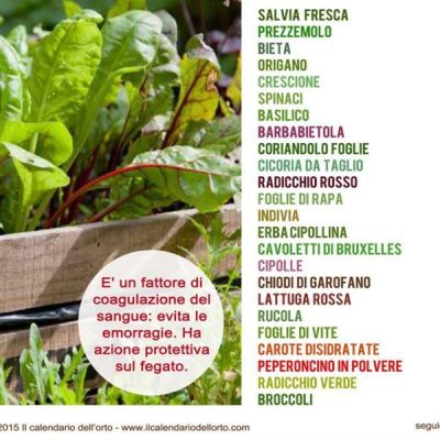 A tavola con la terapia anticoagulante orale