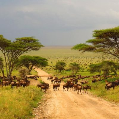 Africa e neocolonialismo per Alex Zanotelli