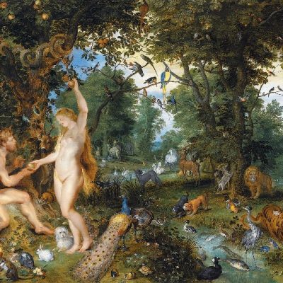 Determinismo genetico secondo Richard Lewontin