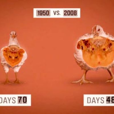 Food Inc. l’inganno del cibo industriale