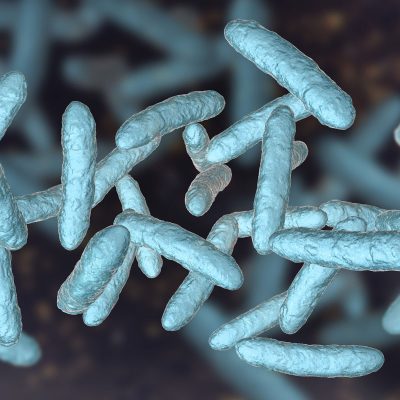Alimentazione, intestino e salute