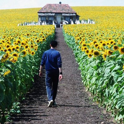 Jonathan S. Foer su carne e clima