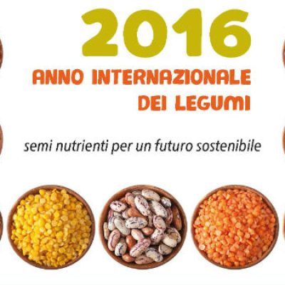 Legumi, nutrienti e sostenibili